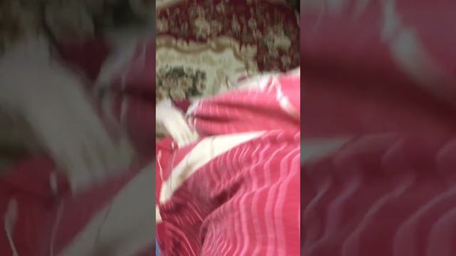 Как построить шалаш из одеял и подушек смотреть онлайн