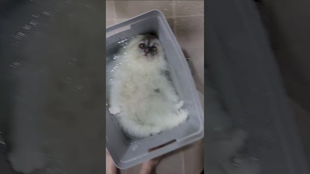 Доброе утро смотреть онлайн