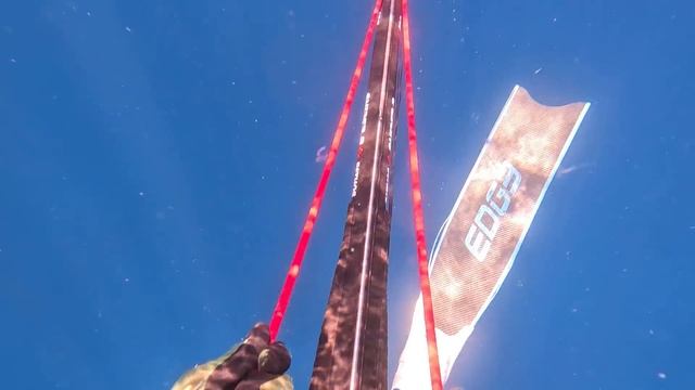 Spearfishing Downtown Kona and I Got Poisoned! смотреть онлайн