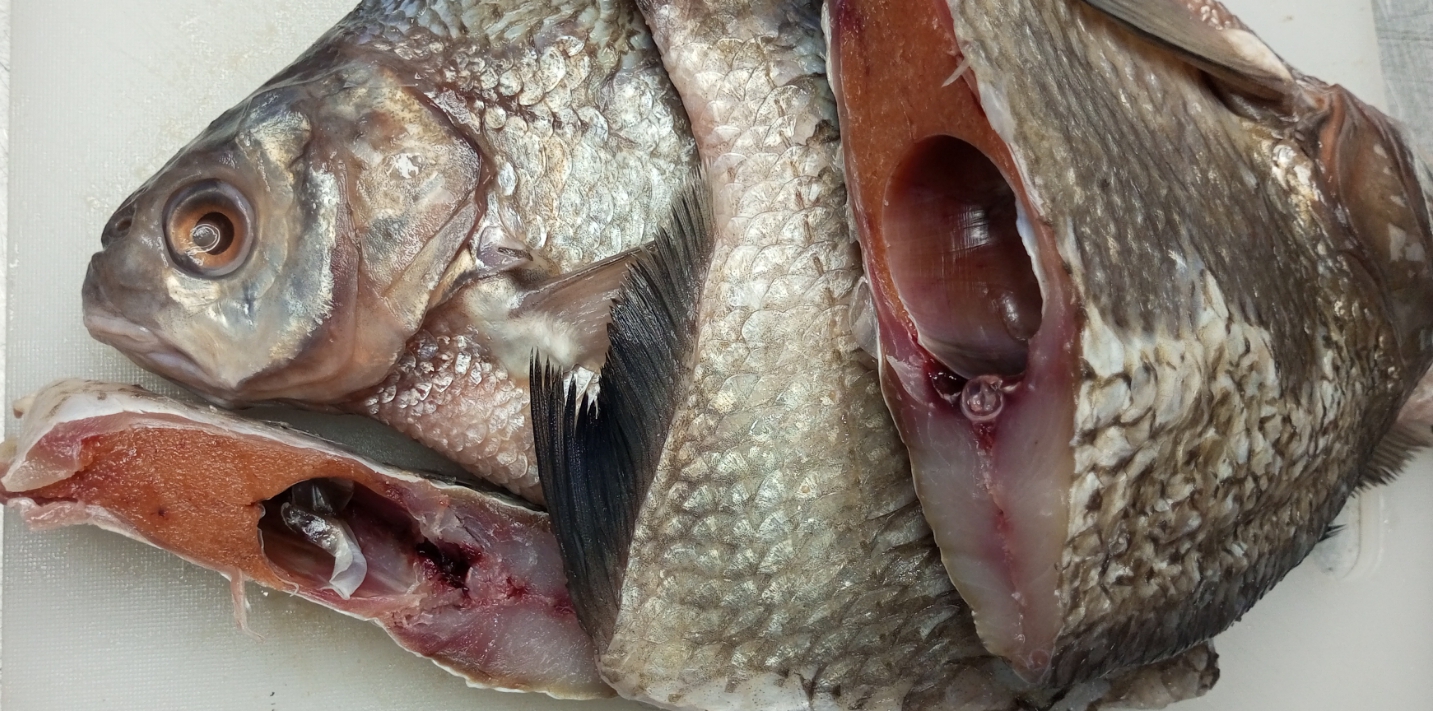 ЛЕЩ СОЛЁНЫЙ 21 ДЕНЬ смотреть онлайн