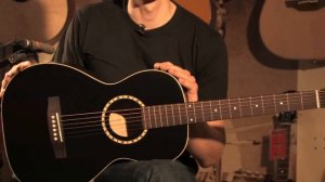 Art Lutherie AMI Steel Antique Burst Cedar incl. Bag