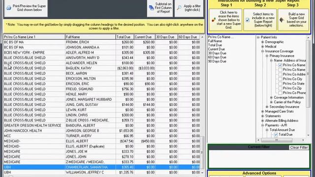 DELPHI/PBS Super Report Example 2.avi смотреть онлайн