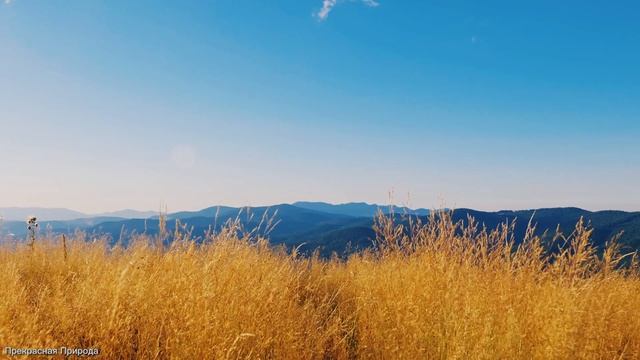 КРАСИВАЯ МУЗЫКА ДЛЯ ДУШИ! Эту музыку можно слушать вечно! Лучшая музыка Сергея Грищука #13 смотреть онлайн