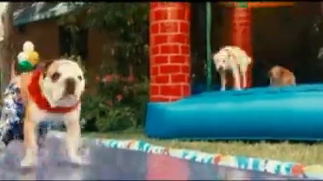 Beverly hills chihuahua video musicale italiano смотреть онлайн