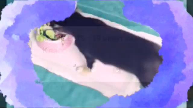 Утро глазами Юми Чу🐶🔮🌄(фан Ани Меджик) смотреть онлайн