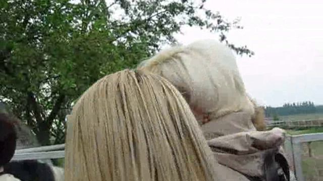 Немецкий автопром!Гуляем по Берлину!Переезд в Польшу,кормим лошадок!Отель в Бресте!