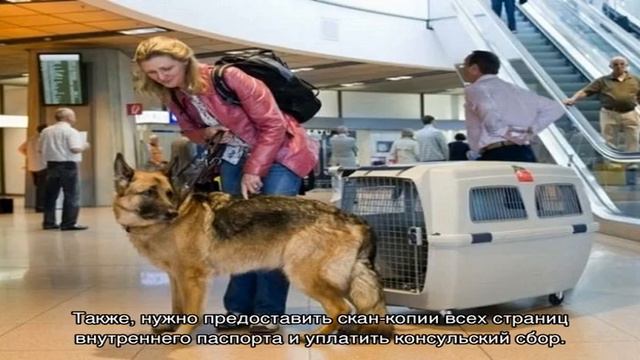 Нужна ли виза в Казахстан для Россиян в 2018 году смотреть онлайн