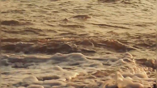 Иосиф Бродский - Когда так много позади (С видом на море) смотреть онлайн