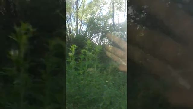 Деревня Какурино Белевский район (как оно теперь есть) смотреть онлайн