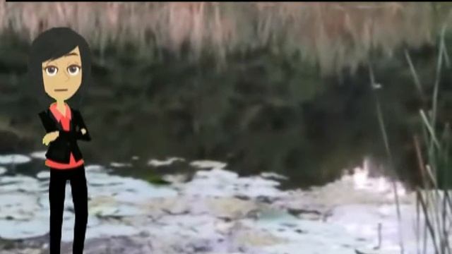 Путешествие по водоемам Донбасса смотреть онлайн