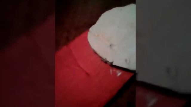 Новые изделия из картона смотреть онлайн