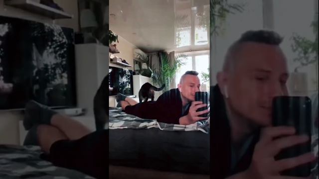 А вы знаете тех, кто может научить кошек делать массаж? Это я смотреть онлайн