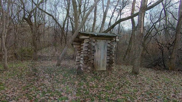 Хозяин бросил щенка в лесу. Но посмотрите, что сделали волки!