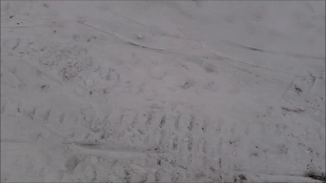 Ларвен с одной управляемой лыжей