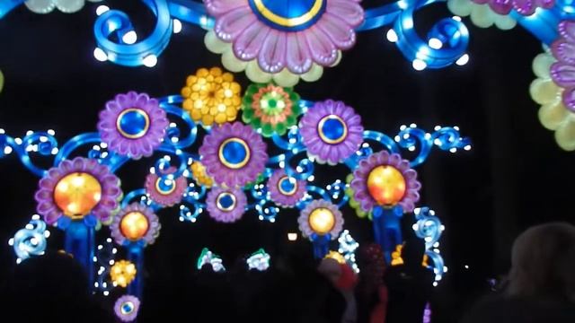 Китайские фонарики. Декабрь 2019 смотреть онлайн