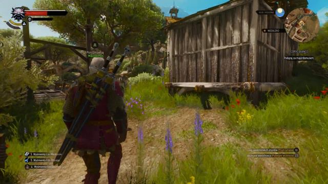 The Witcher 3 Next Gen część 13 /Corvo Bianco zieleniak/ смотреть онлайн