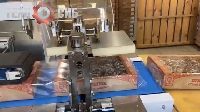 Запуск горизонтальной упаковочной машины DXDZ-900W для кондитерских изделий смотреть онлайн