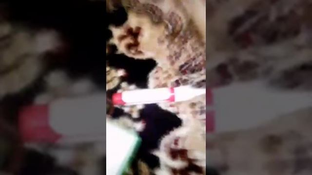 Как стереть двойку из дневника.5 способов смотреть онлайн