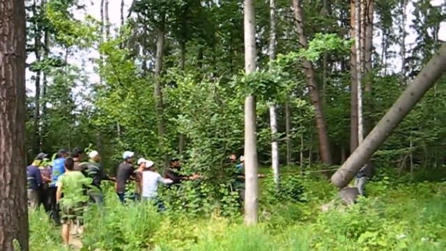 Таджикские лесорубы :) 1  Жесть.Tajiks Arborist In Russia LOL