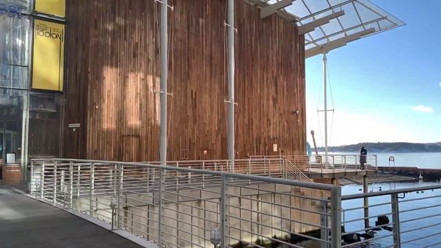 НАБЕРЕЖНАЯ ОСЛО - ДЕРЕВО, СТЕКЛО, КАМЕНЬ смотреть онлайн