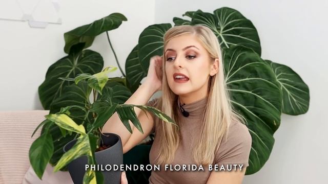 Top 5 YELLOW Variegated Plants! + My Thoughts on Monstera... смотреть онлайн