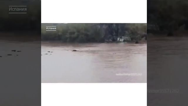 ВСЁ СБЫВАЕТСЯ..ИНГА ХОСРОЕВА смотреть онлайн