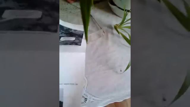 Опять выключилась камера 4 смотреть онлайн
