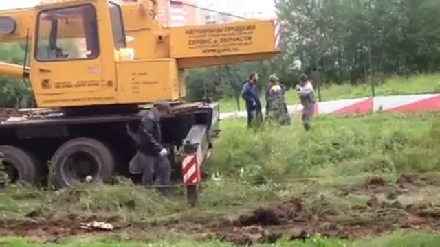 Мортон губит деревья смотреть онлайн