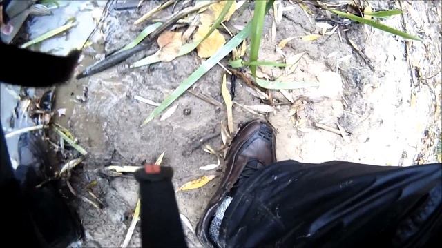 Рыбка из эстонской красной книги смотреть онлайн