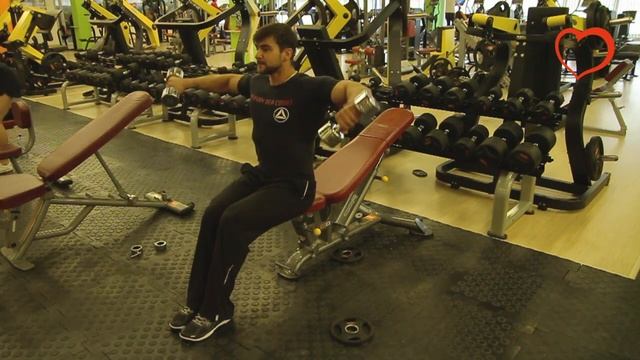 Подъем рук с гантелями через стороны сидя смотреть онлайн