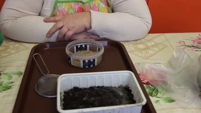 Плесень на рассаде. Решаем проблему. смотреть онлайн