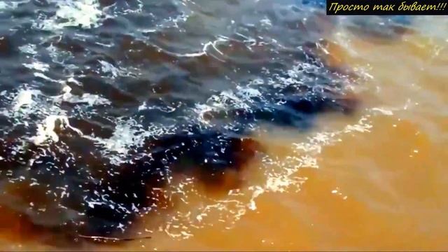 Странный ФЕНОМЕН! Почему воды океанов не смешиваются! смотреть онлайн