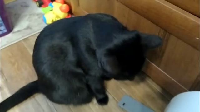 ПЛАНШЕТ ДЛЯ РИСОВАНИЯ ДИМАСЕ, 12 ШТ ПЛАСТИЛИНА ЗА 120 РУБЛЕЙ, ЛЕГКИЙ КАК ЗЕФИРКА, НЕ ЛИПНЕТ К РУКАМ смотреть онлайн