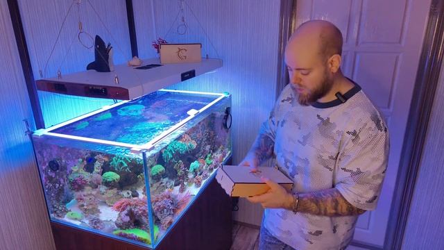 Полки для фрагов от Gardarium Aquarium Studio смотреть онлайн