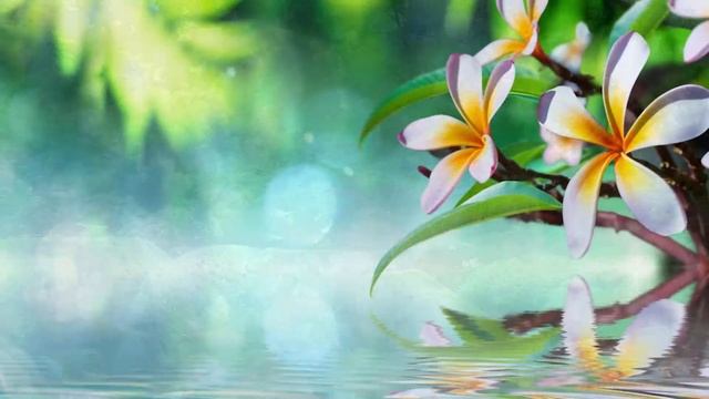 Reiki Music, Healing Music For Reiki Treatments, With Bell Every 3 Minutes