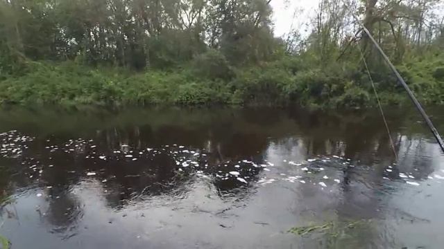 Прогулка со спиннингом. смотреть онлайн