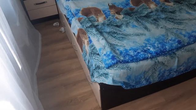 Евро двушка 35 кв.м,из однушки двушка 35 метром,двушка 35 метров,Russian apartment one bedroom? смотреть онлайн