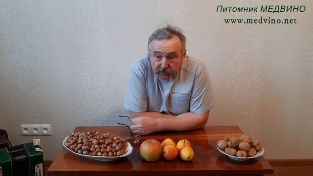 Строительные Лабиринты