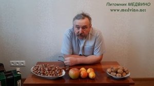 Что на что можно привить