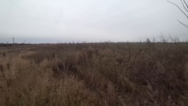 Охота с эстонскими гончими 2023 #ростовскаяобласть