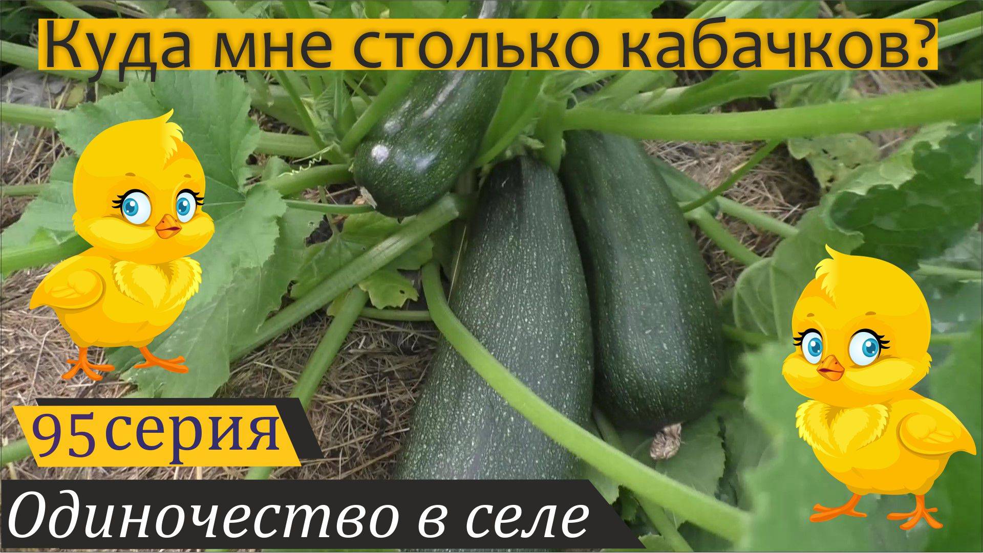 Новости июля: цыплята, гуси, кабачки. Одиночество в селе, серия 95 смотреть онлайн