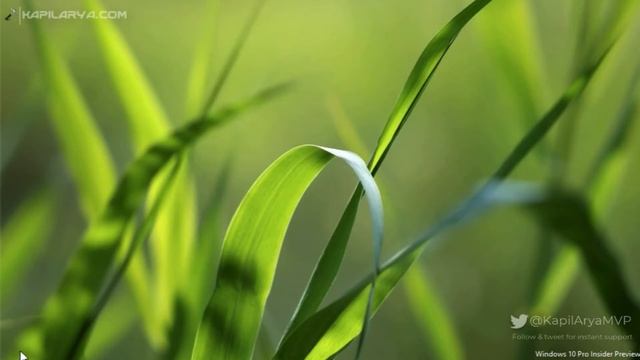 SOLVED: Your organization requires that you change your PIN смотреть онлайн