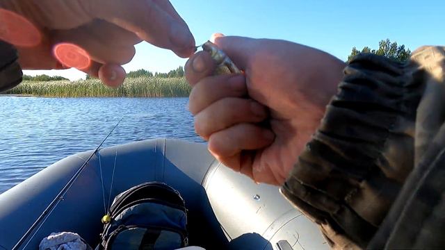 РЫБАЛКА В ЖАБОВНИКЕ КАК ОТДЫХ смотреть онлайн