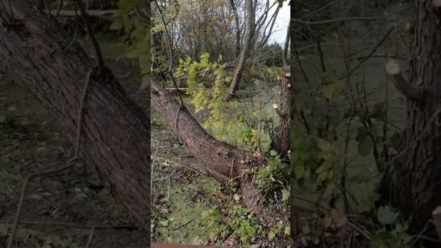 Трактор чуть не упал в пруд??? смотреть онлайн