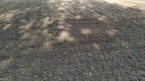 Самодельный культиватор с катком для трактора Т-25 (обзор)