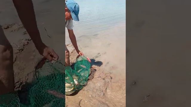 самарканд рыбалка2020. смотреть онлайн