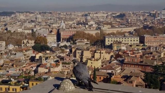 Как атакует Сапсан? Самый быстрый хищник в мире! смотреть онлайн