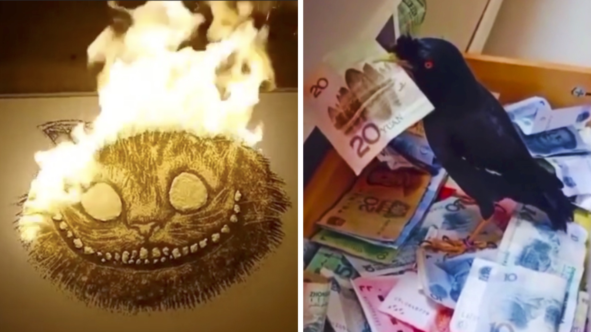 Видео, которые тебя удивят (3 часть) смотреть онлайн