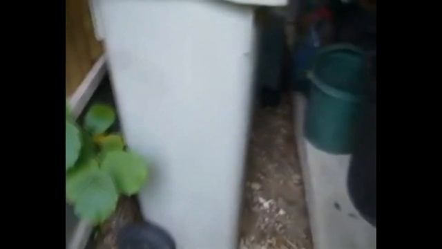 node graph out of date. rebuilding... смотреть онлайн