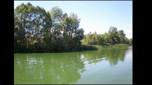 Река Волга и её приток река Уса смотреть онлайн